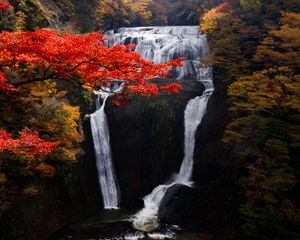 Preview wallpaper waterfall, trees, precipice, current, autumn