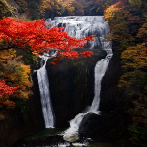 Preview wallpaper waterfall, trees, precipice, current, autumn