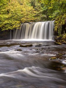 Preview wallpaper waterfall, trees, river, stream