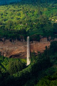 Preview wallpaper waterfall, trees, rock