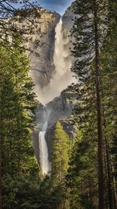 Preview wallpaper waterfall, trees, spruce, cliff