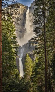 Preview wallpaper waterfall, trees, spruce, cliff