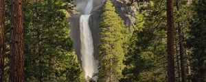 Preview wallpaper waterfall, trees, spruce, cliff