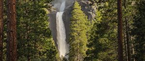 Preview wallpaper waterfall, trees, spruce, cliff