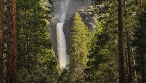 Preview wallpaper waterfall, trees, spruce, cliff