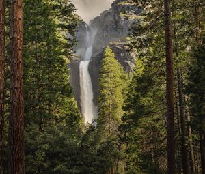 Preview wallpaper waterfall, trees, spruce, cliff