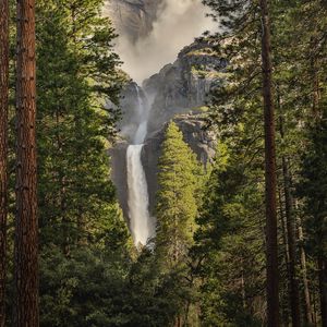 Preview wallpaper waterfall, trees, spruce, cliff