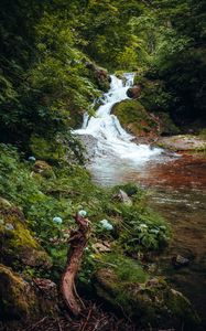 Preview wallpaper waterfall, trees, stones, landscape, nature