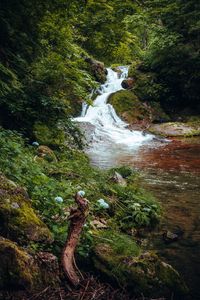 Preview wallpaper waterfall, trees, stones, landscape, nature