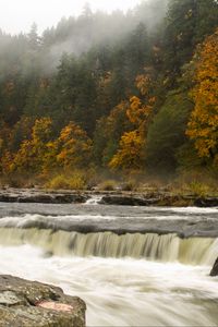 Preview wallpaper waterfall, trees, stones, stream, fog