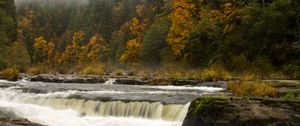 Preview wallpaper waterfall, trees, stones, stream, fog