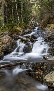 Preview wallpaper waterfall, trees, stones, logs, long exposure