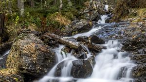 Preview wallpaper waterfall, trees, stones, logs, long exposure