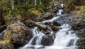 Preview wallpaper waterfall, trees, stones, logs, long exposure