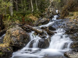 Preview wallpaper waterfall, trees, stones, logs, long exposure