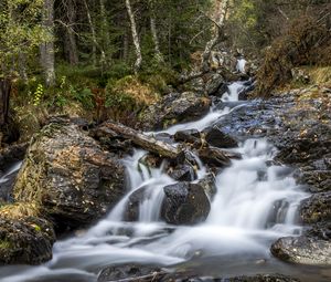 Preview wallpaper waterfall, trees, stones, logs, long exposure