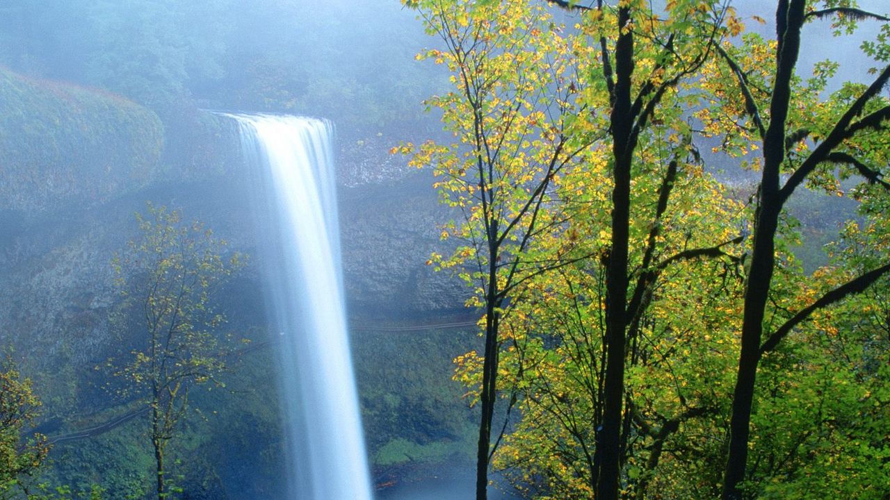 Wallpaper waterfall, trees, summer, light