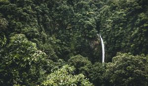 Preview wallpaper waterfall, trees, top view