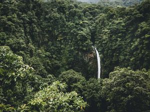 Preview wallpaper waterfall, trees, top view