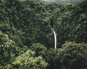 Preview wallpaper waterfall, trees, top view