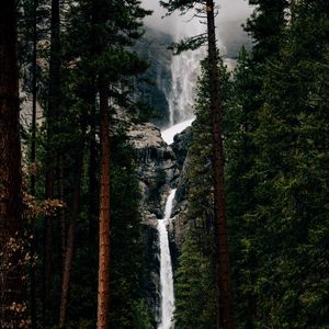 Preview wallpaper waterfall, trees, water, flow, break