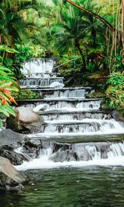 Preview wallpaper waterfall, tropical, stones, leaves, plants, stream
