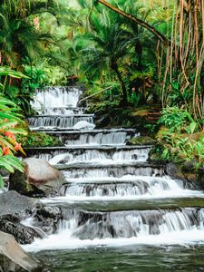 Preview wallpaper waterfall, tropical, stones, leaves, plants, stream