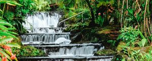 Preview wallpaper waterfall, tropical, stones, leaves, plants, stream