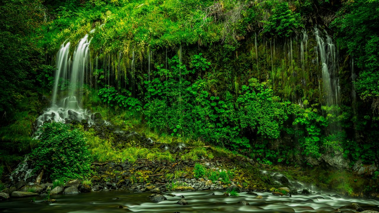 Wallpaper waterfall, vegetation, grass, mossbrae falls, california