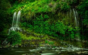 Preview wallpaper waterfall, vegetation, grass, mossbrae falls, california