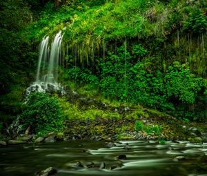 Preview wallpaper waterfall, vegetation, grass, mossbrae falls, california
