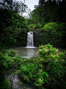 Preview wallpaper waterfall, vegetation, green, leaves, grass