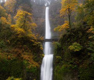 Preview wallpaper waterfall, water, bridge, trees, landscape