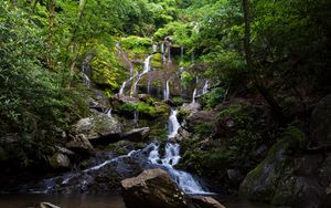 Preview wallpaper waterfall, water, cascade, stones, trees, nature