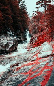 Preview wallpaper waterfall, water, flow, stones, red leaves