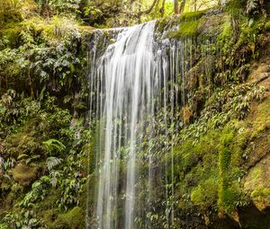 Preview wallpaper waterfall, water, grass, cliff