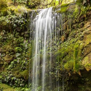 Preview wallpaper waterfall, water, grass, cliff