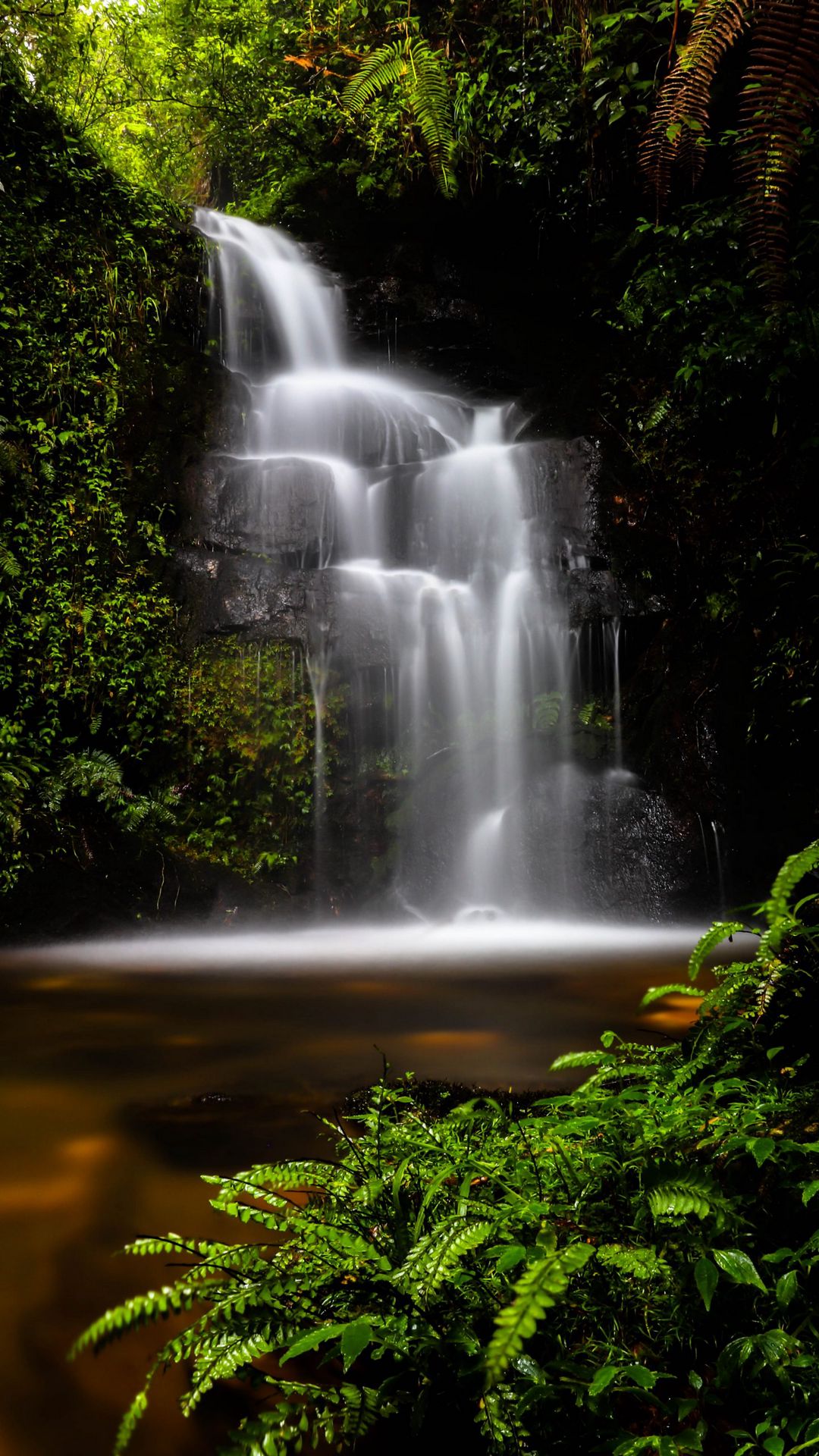 Download wallpaper 1080x1920 waterfall, water, jungle, vegetation ...