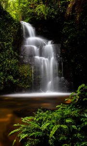 Preview wallpaper waterfall, water, jungle, vegetation, nature