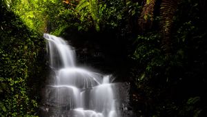 Preview wallpaper waterfall, water, jungle, vegetation, nature