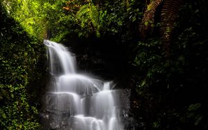 Preview wallpaper waterfall, water, jungle, vegetation, nature