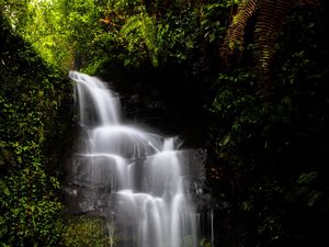 Preview wallpaper waterfall, water, jungle, vegetation, nature