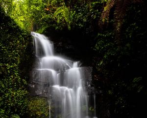 Preview wallpaper waterfall, water, jungle, vegetation, nature