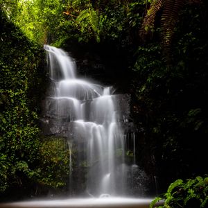 Preview wallpaper waterfall, water, jungle, vegetation, nature