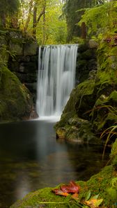 Preview wallpaper waterfall, water, moss, leaves, plants