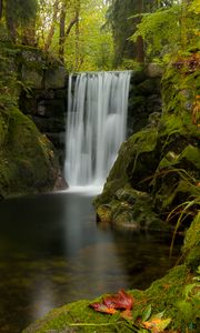 Preview wallpaper waterfall, water, moss, leaves, plants