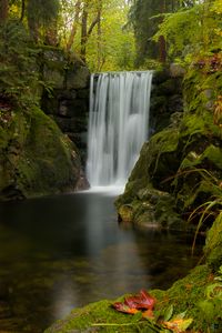 Preview wallpaper waterfall, water, moss, leaves, plants