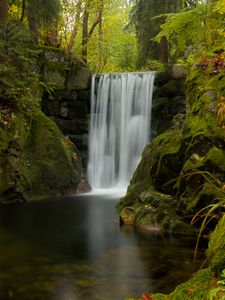 Preview wallpaper waterfall, water, moss, leaves, plants