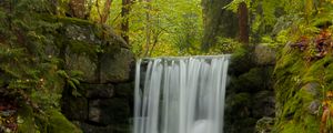 Preview wallpaper waterfall, water, moss, leaves, plants