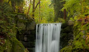 Preview wallpaper waterfall, water, moss, leaves, plants